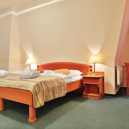 & Wellness Silva Hotel Mariánské Lázně