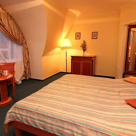 & Wellness Silva Отель 4*
