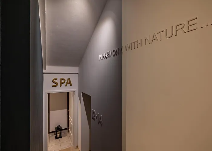 & Wellness Silva Ξενοδοχείο 4*
