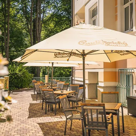 & Wellness Silva 4* Марианске-Лазне
