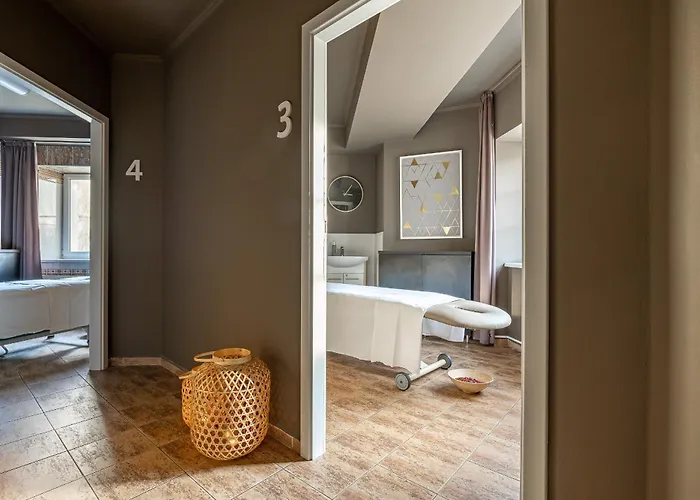 & Wellness Silva Отель 4*