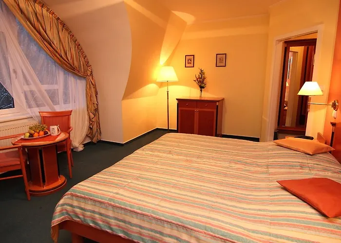 & Wellness Silva Отель 4*
